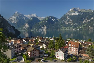 Sisikon on Lake Lucerne with view of Uri Rotstock and Gitschen, Canton Uri, Switzerland, Sisikon,