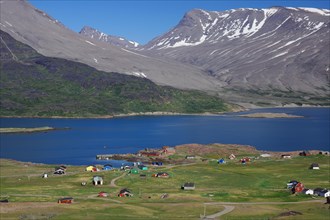 Houses are widely scattered in a meadow by a fjord in a barren landscape, Igaliku, North America,