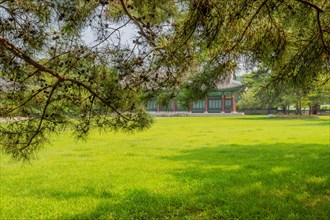 Oriental style building with beautifully manicured lawn behind branches of evergreen tree in public
