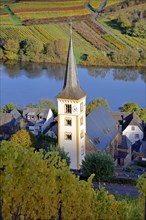 View of the St Laurentius Church from the wine village of Bremm am Calmont, Moselle,