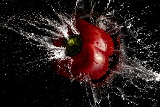 Red pepper in the centre of a dynamic water splash in the dark
