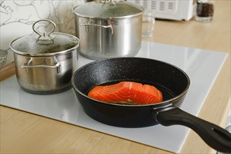 Piece of fresh trout steak in a frying pan on electric stove