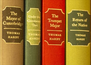Close up of Folio Society hardback books by Thomas Hardy focus on gilt spine title 'The Trumpet