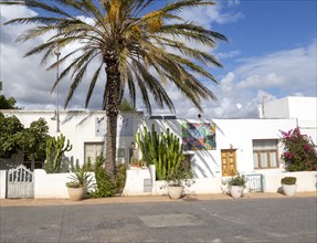 Date palm tree whitewashed houses in village of Rodalquilar, Almeria, Spain, former mining town now