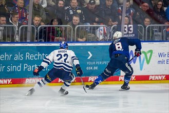 26.01.2024, DEL, German Ice Hockey League, Matchday 41) : Adler Mannheim vs Iserlohn Roosters (duel