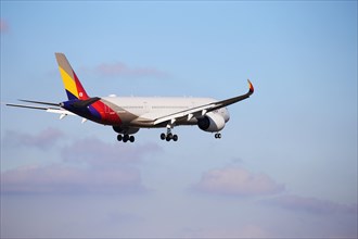 A passenger plane of the South Korean airline Asiana Airlines lands at Frankfurt Airport