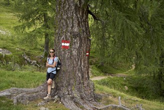 Woman with an old larch tree, Kirchheimer Wolitzen Alm, Nockberge, Carinthia, Austria, Europe