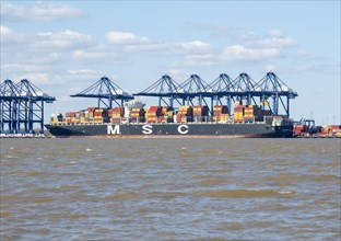 MSC Maria Saveria container ship, Trinity Terminal, Port of Felixstowe, Suffolk, England, UK