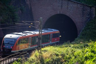 A local train operated by Verkehrsbetriebe Rhein-Neckar (VRN) in the Palatinate Forest between