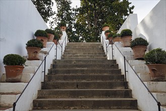 Staircase decorated with flower pots, Palacio de Generalife, Moorish architecture, Alhambra,