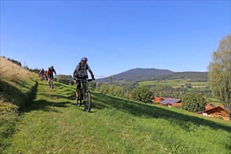 Mountain bike tour through the Bavarian Forest with the DAV Summit Club: Descent in a meadow paths