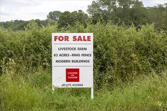 Estate agent Cooper and Tanner property for sale sign at livestock farm Compton Bassett, Wiltshire,