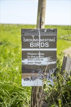 Ground-nesting birds sign about keeping to paths and controlling dogs, Shingle Street, Hollesley,