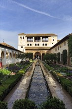 Tourists in the Patio de la Acequia, gardens with water basin, water features, Moorish palace,
