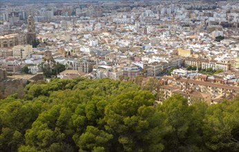 View over high density buildings city centre of Malaga, Spain, Europe