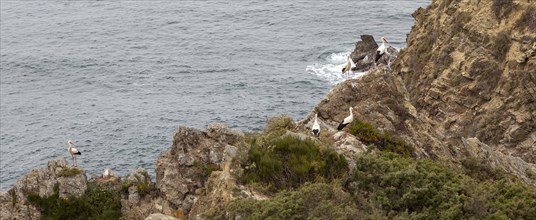 Rocky rugged coastline near Azenha do Mar, Alentejo Littoral, Portugal, southern Europe with white