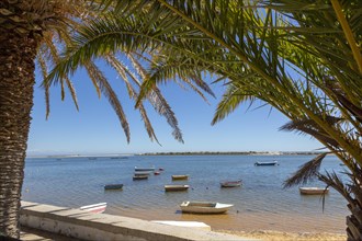 Boats in lagoon behind offshore sandbar, framed by palm trees, Vila Nova de Cacela, Algarve,