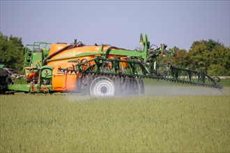 A farmer drives his tractor with a crop protection sprayer across his wheat field to combat brown