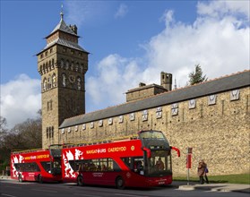 Red double decker tour buses outside Cardiff Castle, Cardiff, South Wales, UK by the Clock Tower