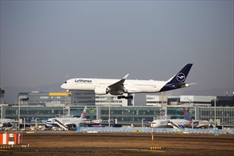A Lufthansa passenger aircraft lands at Frankfurt Airport