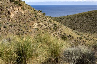 Arid landscape between Las Negras and Cala de San Pedro, Cabo de Gata Natural Park, Almeria, Spain,