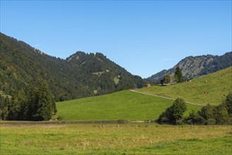 Alpine farm at Lecknersee, Buckelwiese, municipality of Dornbirn, Bregenzerwald, Voralberg,