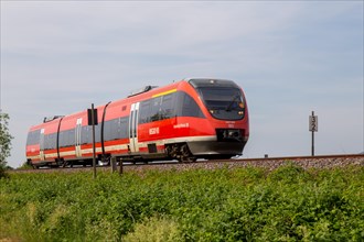 A train of the Verkehrsbetriebe Rhein-Neckar (VRN) near Neustadt an der Weinstrasse