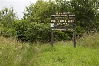 Branchlines community woodland, Old School Wood, Great Waldingfield, Suffolk, England, UK