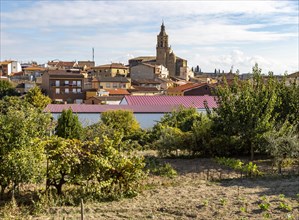 Historic buildings and Church of the Ascension in village of San Asensio, La Rioja Alta, Spain,
