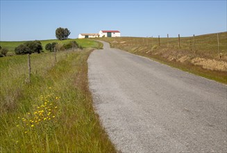 Minor small country surfaced road passing through rural countryside area with blue sky and farm