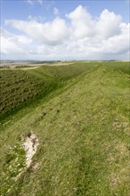 Defensive ramparts and ditch Yarnbury Castle, Iron Age hill fort, Wiltshire, England, UK