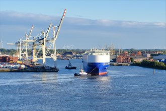 Cargo ship for cars in the port of Hamburg, Hanseatic City of Hamburg, Hamburg, Germany, Europe