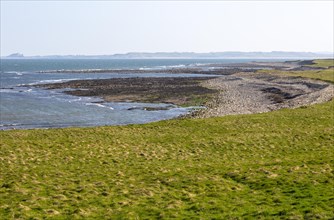 Coastline landscape scenery looking south, Holy Island, Lindisfarne, Northumberland, England, UK