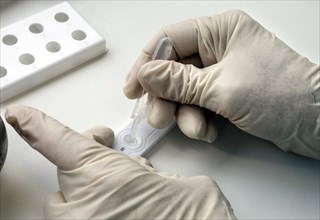 Employee analyses a sample in a Corona rapid test centre, Eberswalde, 17.03.2021