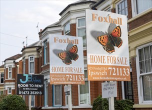 Estate agent signs for apartment flats for sale and room to rent, Spring Road, Ipswich, Suffolk,