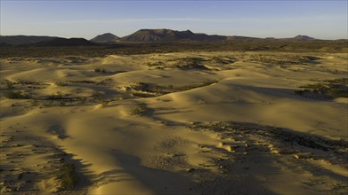 Sand dunes near Corralejo, shifting sand dunes, Fuerteventura, Canary Islands, Spain, Europe