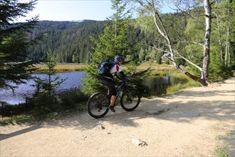 Mountain bike tour through the Bavarian Forest with the DAV Summit Club: Mountain biker at the