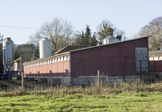 Exterior of indoor pig unit in farmyard at Sutton, Suffolk, England, UK