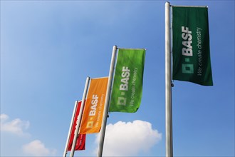 BASF flags at the Ludwigshafen site