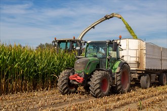 Rhineland-Palatinate, Germany: Maize harvesting (maize chopping) for the Alexanderhof biogas plant