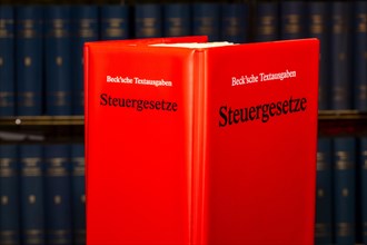 Symbolic image of tax advice: specialist book STEUERGESETZE from Beck-Verlag in front of a
