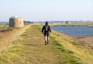 Man walking coastal path on sea wall dyke at Bawdsey, Suffolk, England, UK