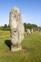 Standing stones in south west quadrant neolithic stone circle henge prehistoric monument, Avebury,