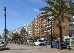 Apartment blocks on the seafront in centre of Fuengirola, Costa del Sol, Andalusia, Spain, Europe