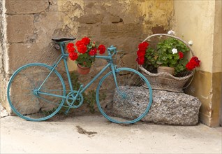 Old bicycle painted blue with red geranium flowers in pots, San Asensio, La Rioja Alta, Spain,