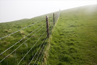 Barbed wire fence in fog on chalk downs near Knap Hill, Alton Barnes, Wiltshire, England, UK