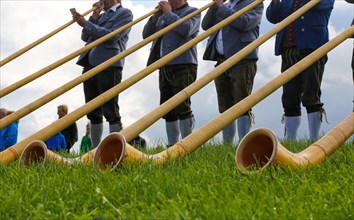 Alphorn players in Bavaria Germany . The alphorn is a traditional wind instrument in the Alps