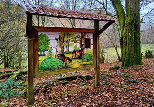 Information board in the Hutewald Solling-Vogler nature park Park, Nienover, Bodenfelde,