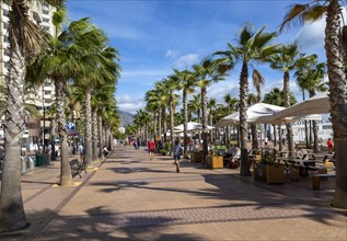 Palm tress and cafes on the seafront promenade in centre of Fuengirola, Costa del Sol, Andalusia,