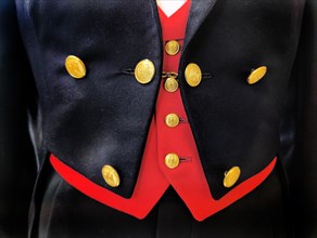 Bundestag tailcoat, black tailcoat with red waistcoat and golden buttons with federal eagle,